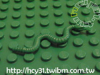 Snake 蛇 (綠色)